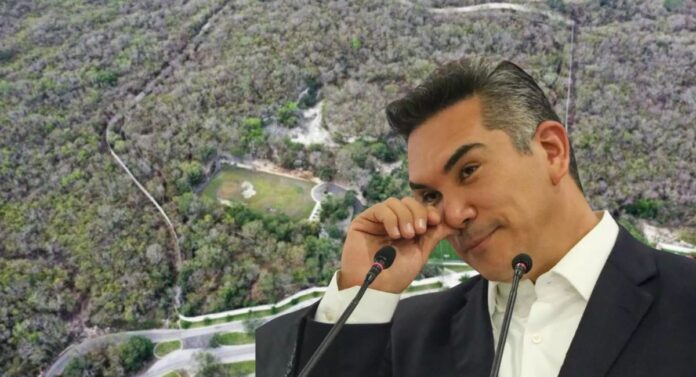 https://globonoticiasyucatan.com/expropian-terrenos-de-alito-moreno-para-construir-universidad-en-campeche-globo-noticias-yucatan/