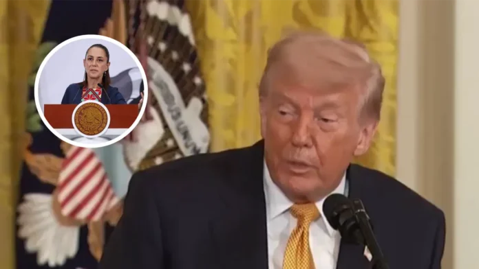https://globonoticiasyucatan.com/trump-advierte-a-mexico-si-no-actuan-nosotros-lo-haremos-globo-noticias-yucatan/